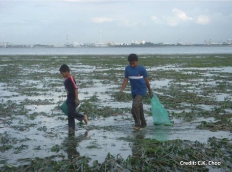 coal-power-plant-malaysia
