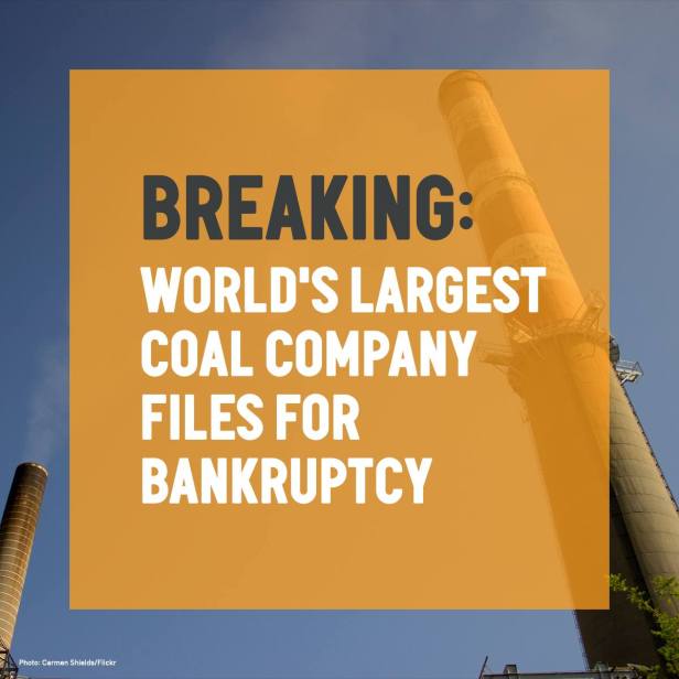 12970904_10154111172407708_6391384791941295214_o